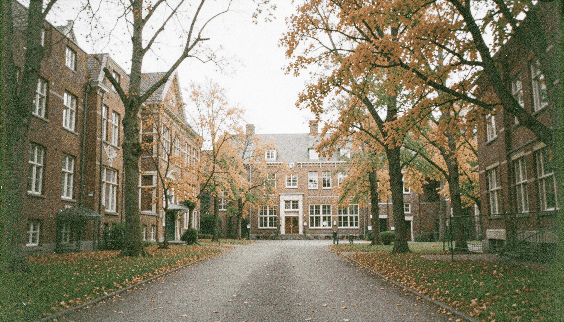 A grainy analog film photograph of a Dutch university campus in autumn, with brick buildings and tree-lined paths under soft overcast light.